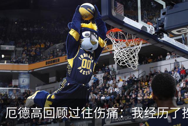 厄德高回顾过往伤痛：我经历了挫折，却依然向前迈进