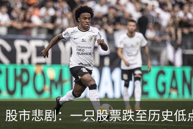 股市悲剧：一只股票跌至历史低点，投资者苦不堪言